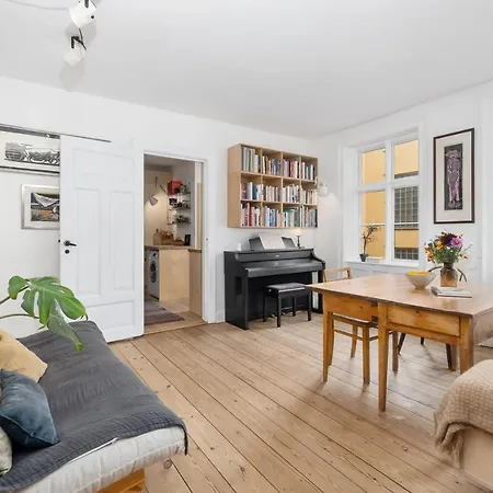 Apartment Penthouse With Rooftop Terrace Copenhagen